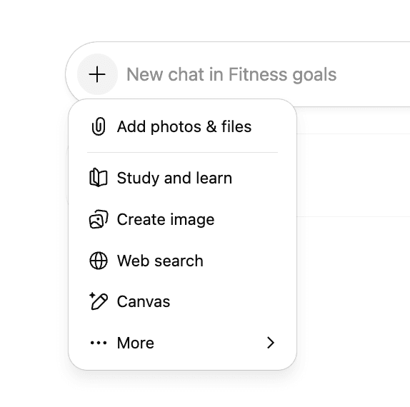 ChatGPT project with menu for adding files, image, web search and Canvas