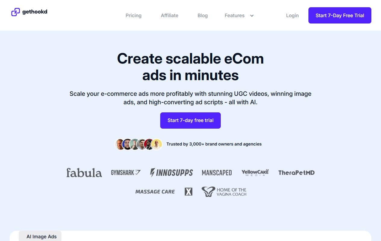 Aperçu de la page Gethookd pour marques e-commerce