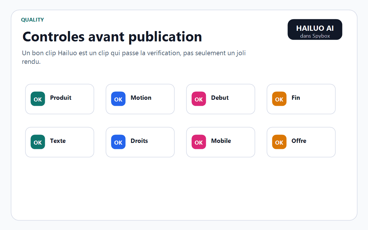 Checklist Spybox de contrôle qualité avant publication d'un clip Hailuo AI