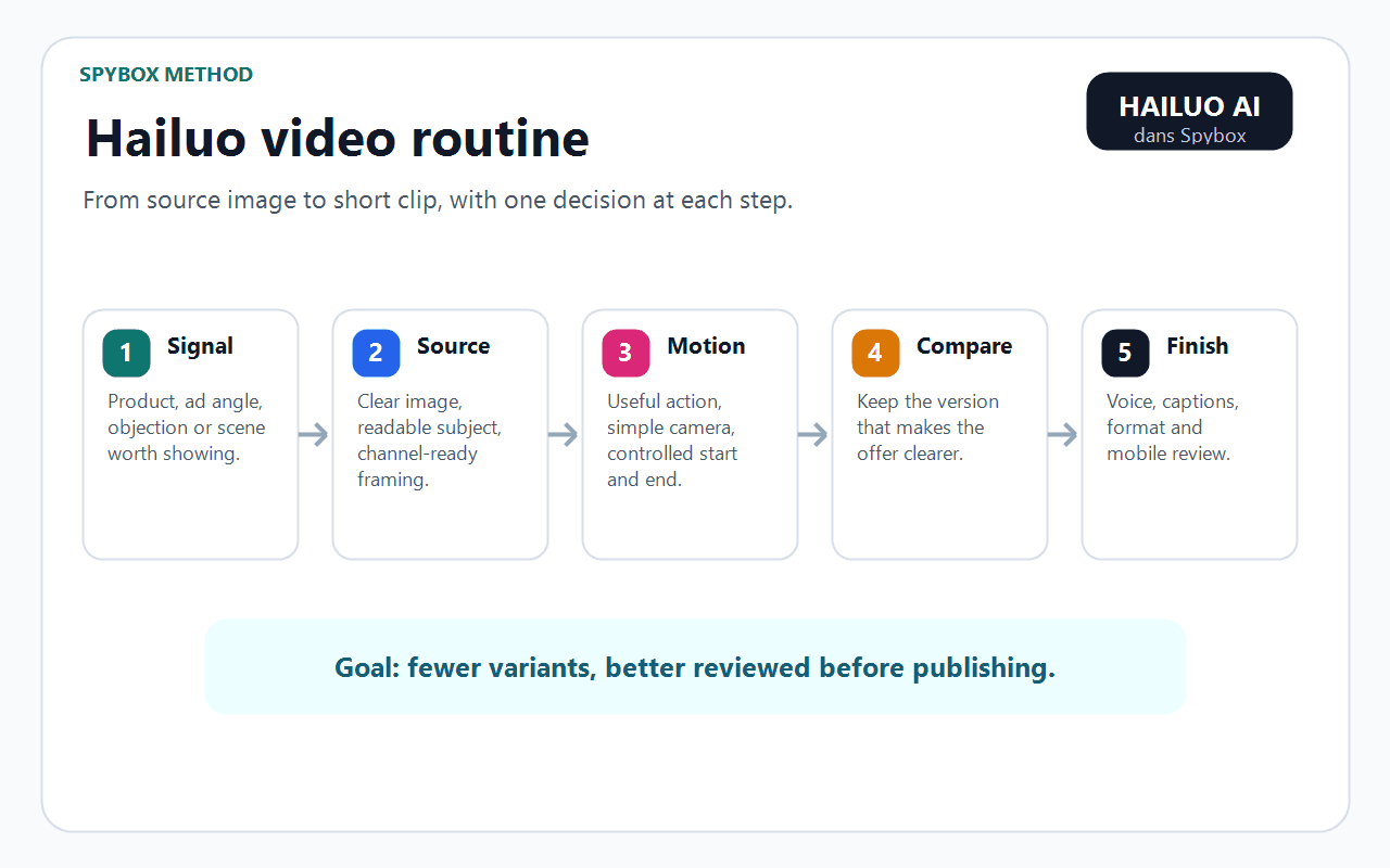 Spybox routine for using Hailuo AI from visual source to final review