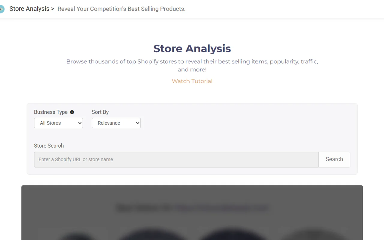 Public Niche Scraper Store Analysis preview with Shopify store search