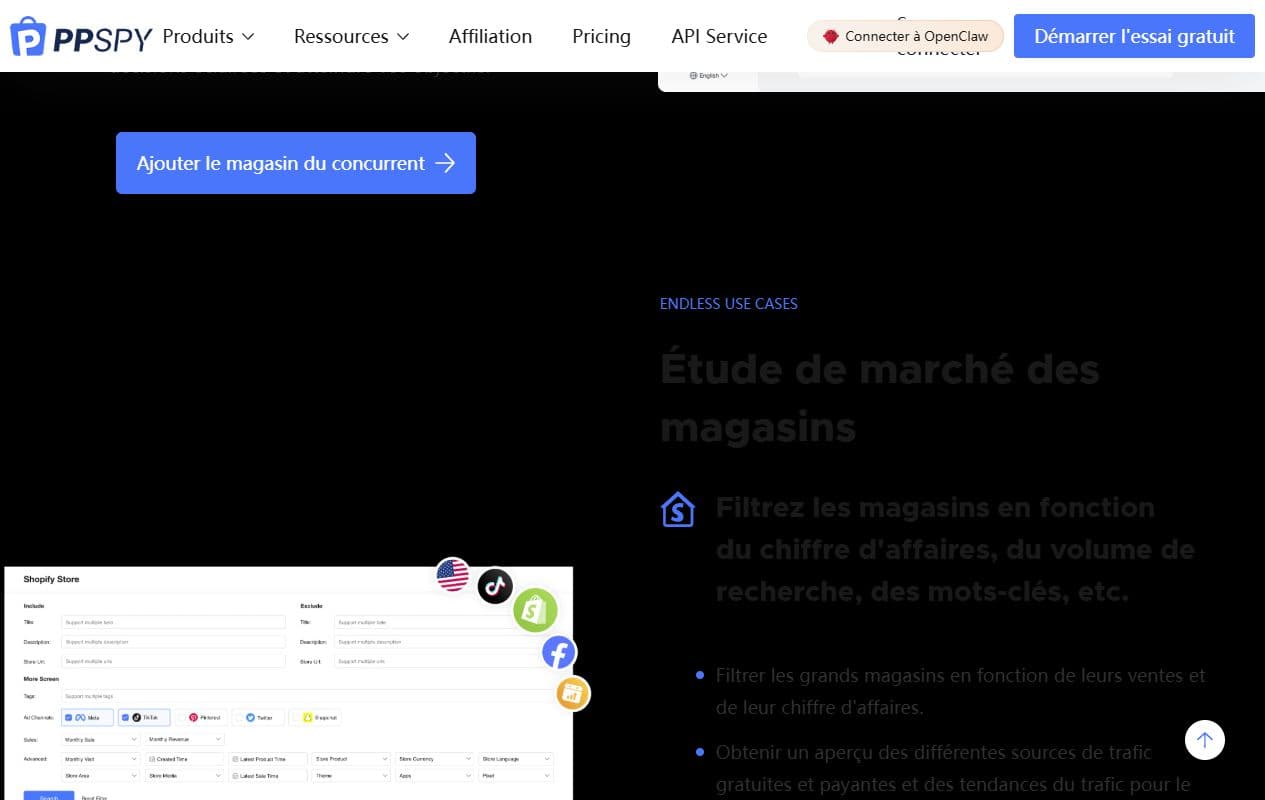 Aperçu PPSPY de recherche de boutiques Shopify avec filtres