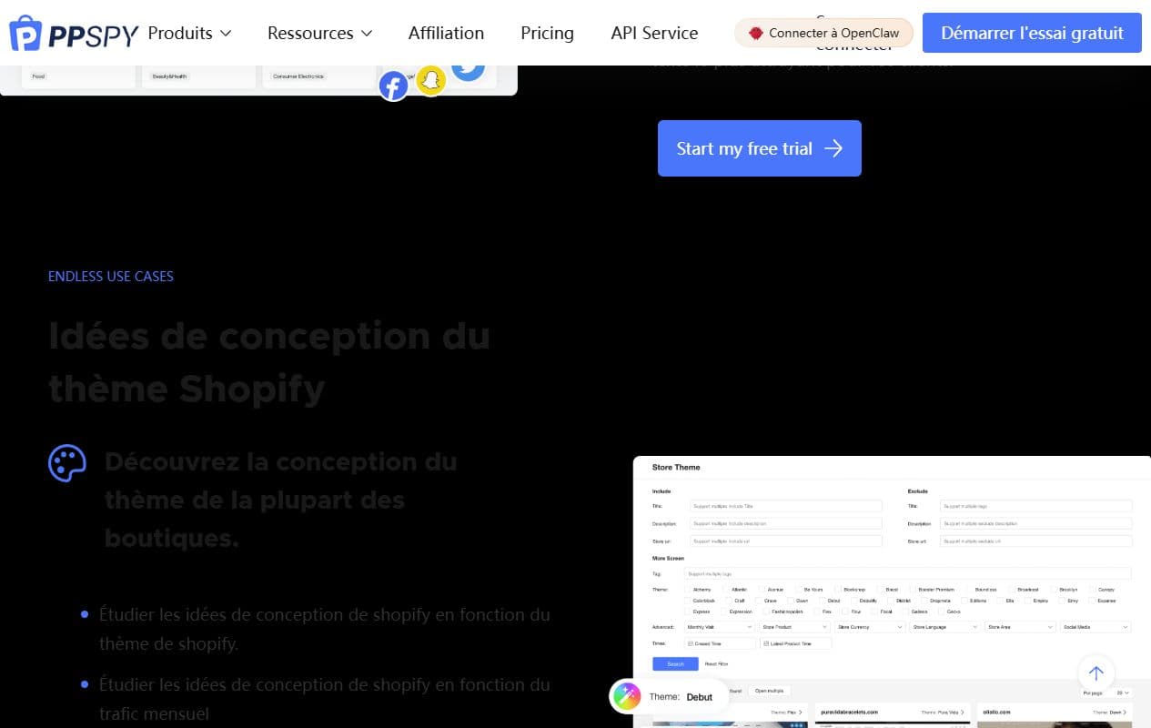 Aperçu PPSPY de recherche de thèmes Shopify