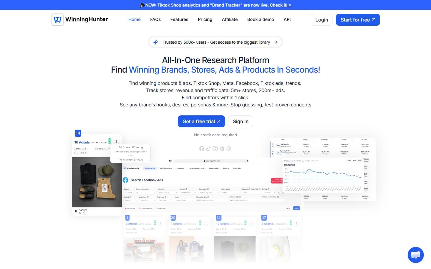 Winning Hunter page showing brands, stores, ads and product research